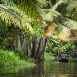 Farm Tour in Periyar  (1D)
